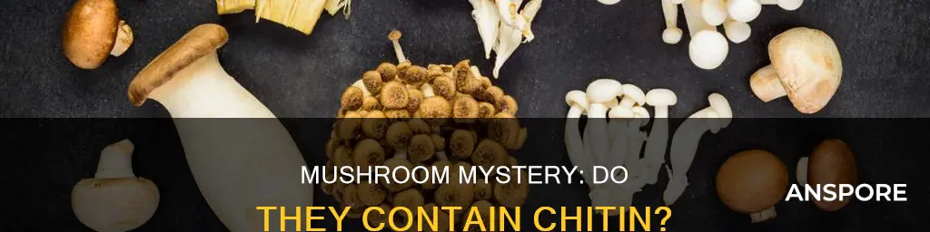 does mushroom contain chitin