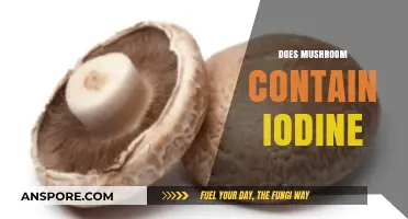 Mushroom Mystery: Iodine Content Revealed