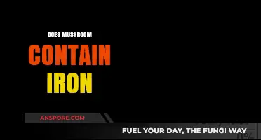 Mushroom Nutrition: Iron Content Explored