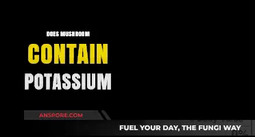 Mushrooms: A Rich Source of Potassium?