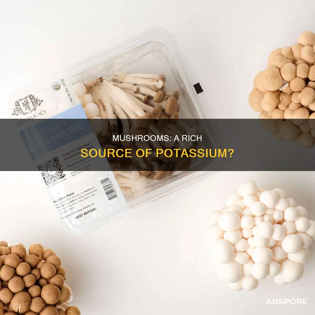 does mushroom contain potassium