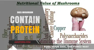 Mushrooms: A Surprising Source of Protein?