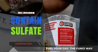 Mushroom Mystery: Sulfate Content Unveiled