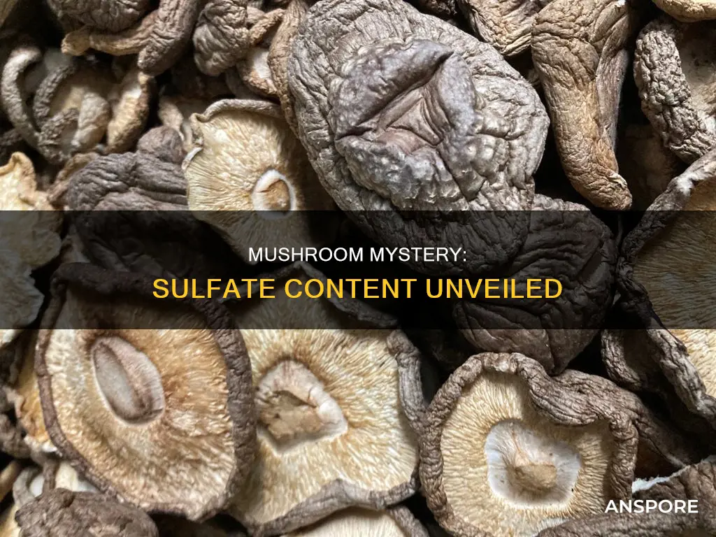 does mushroom contain sulfate