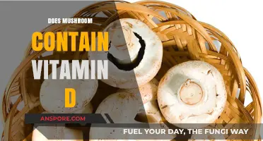 Mushrooms: Nature's Source of Vitamin D