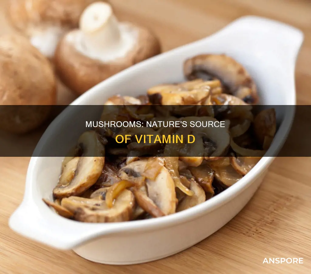 does mushroom contain vitamin d