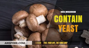 Mushroom Mystery: Yeast or Not?