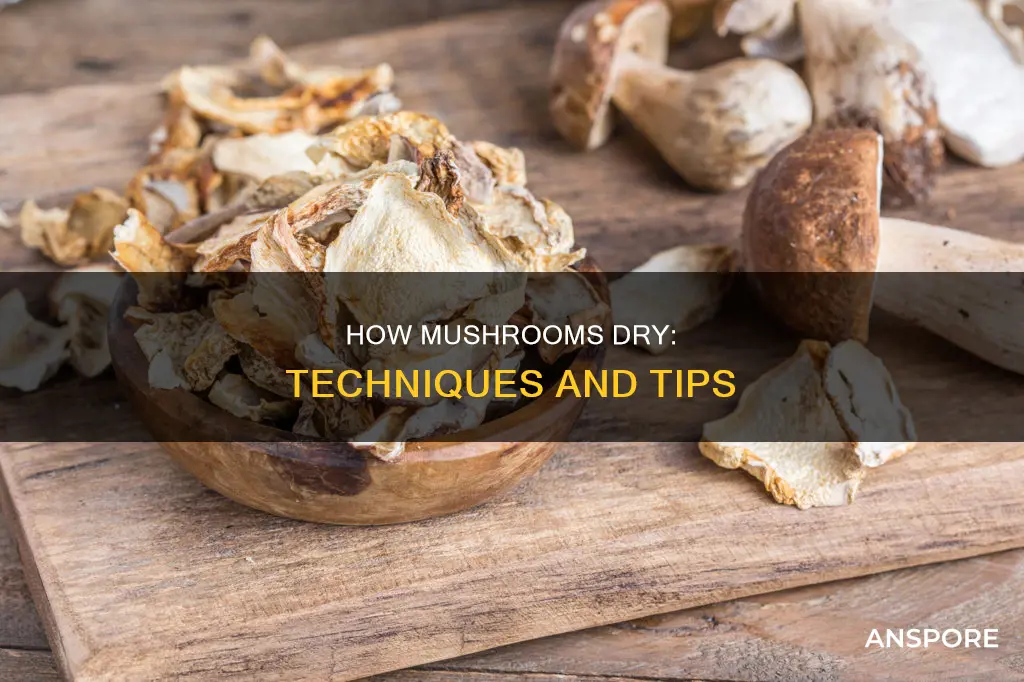 does mushroom dry