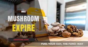 Mushroom Mystery: Do They Ever Expire?