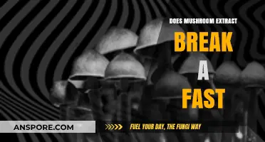 Mushroom Extract: Fasting Friend or Foe?