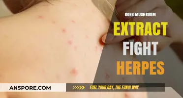 Mushroom Extract: A Natural Remedy for Herpes?