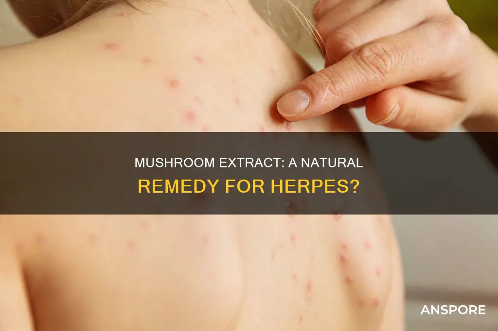 does mushroom extract fight herpes