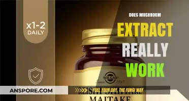 Mushroom Extract: Does It Work?