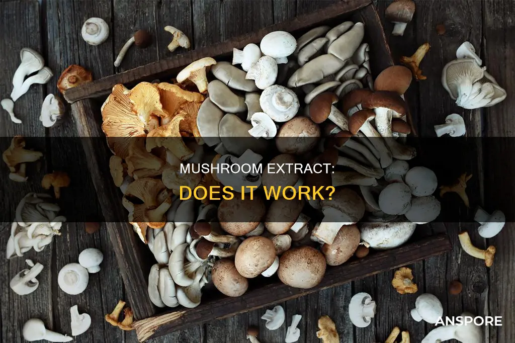 does mushroom extract really work