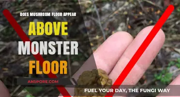 Mushroom Floors: Do They Appear Above Monsters?