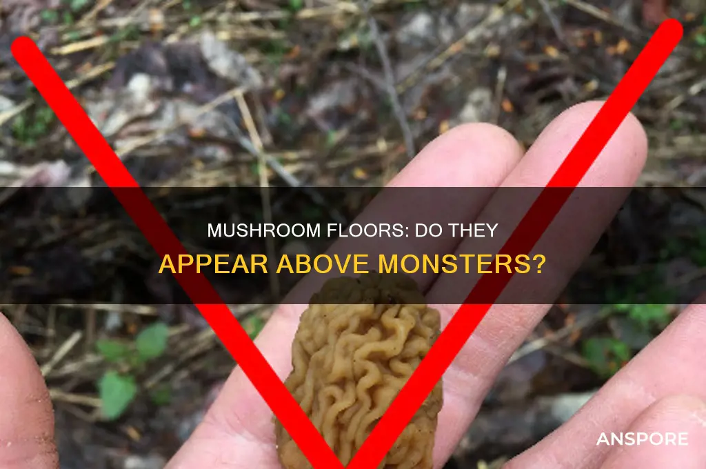 does mushroom floor appear above monster floor
