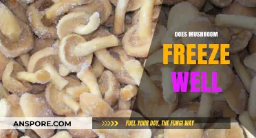 Freezing Mushrooms: What's the Best Way to Preserve Them?