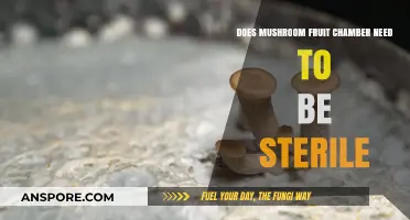 Mushroom Fruit Chambers: Sterile or Not?