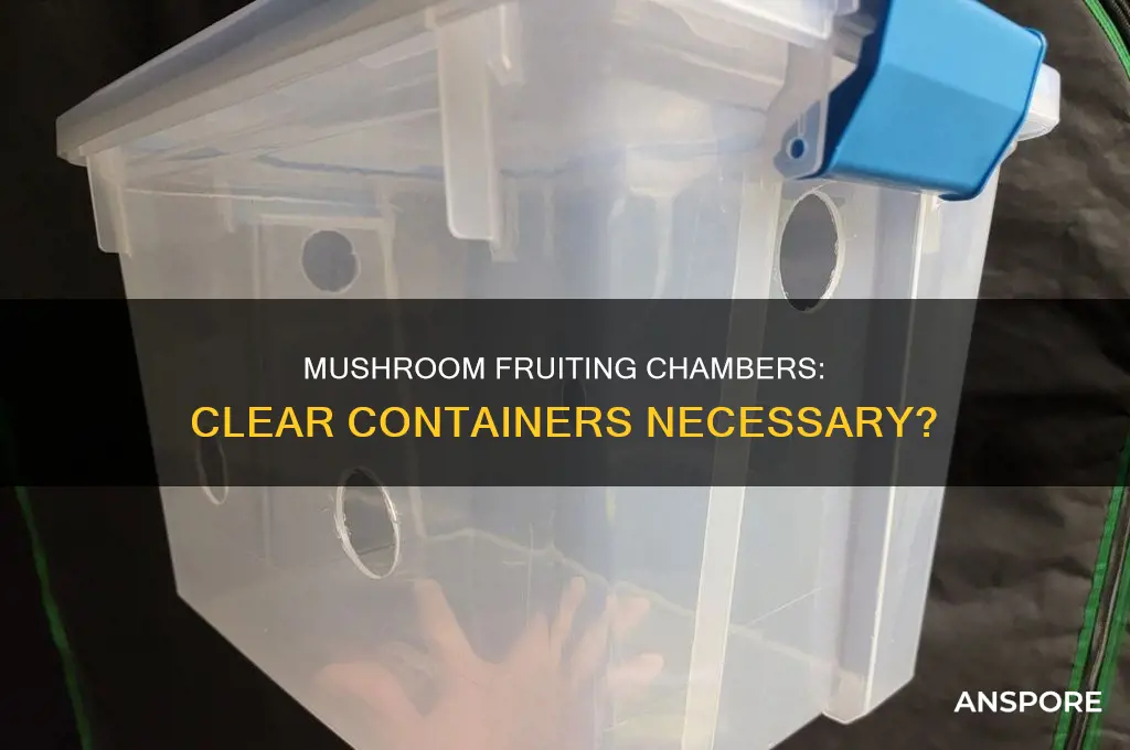 does mushroom fruiting chamber have to be clear