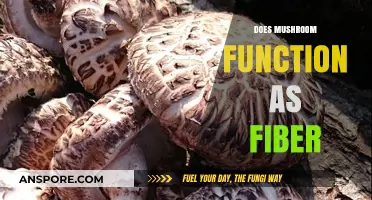 Mushrooms: A Surprising Source of Fiber?