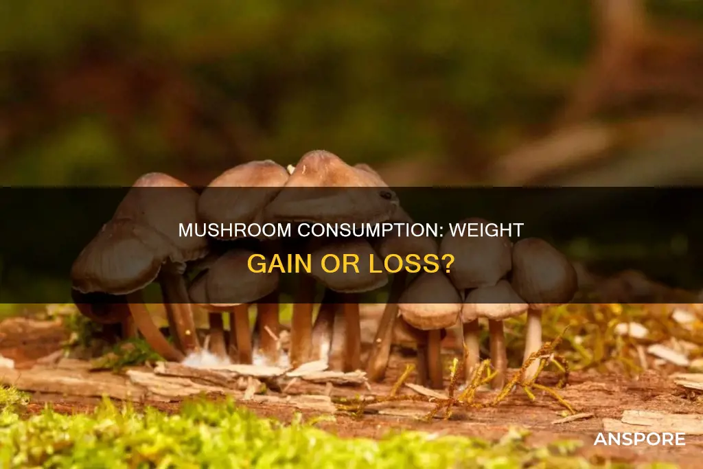 does mushroom gain weight