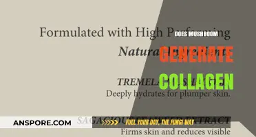 Mushroom Power: Can It Boost Collagen?