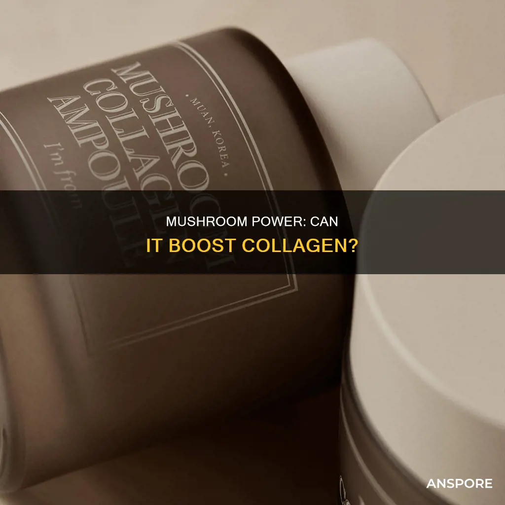 does mushroom generate collagen
