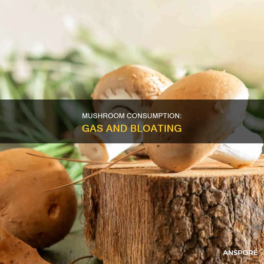 does mushroom give you gas