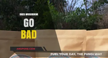 Do Mushrooms Expire? Shelf Life and Storage Tips Explained