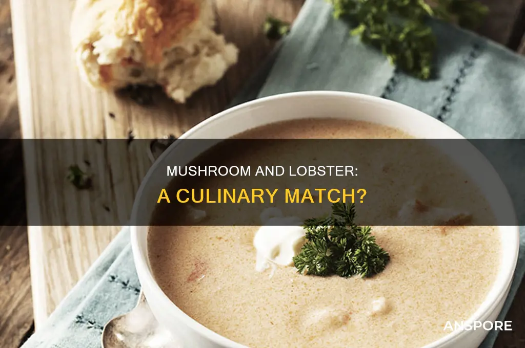 does mushroom go well with lobster