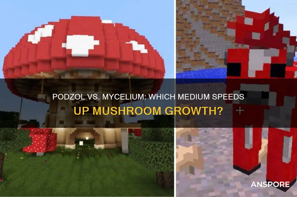 does mushroom grow faster on podzol or mycelium