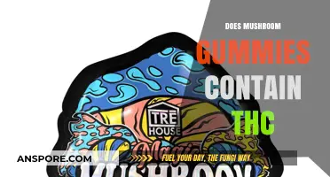 Mushroom Gummies: Do They Contain THC?