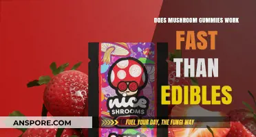 Mushroom Gummies vs. Edibles: Which Delivers Faster Effects?