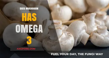 Mushrooms: A Rich Source of Omega-3?