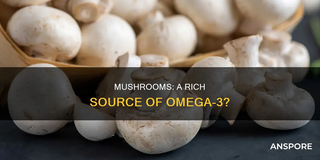 does mushroom has omega 3
