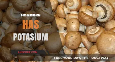 Mushrooms: A Rich Source of Potassium?