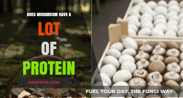 Mushroom Protein Power: How Much is Enough?