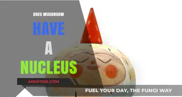 Mushroom Mystery: Nucleus or Not?