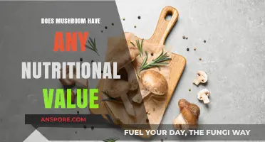 Mushroom Nutrition: Are They Nutritious?