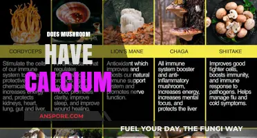 Mushroom Nutrition: Calcium Content Explored