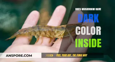 Mushroom Mystery: Why Dark Insides?