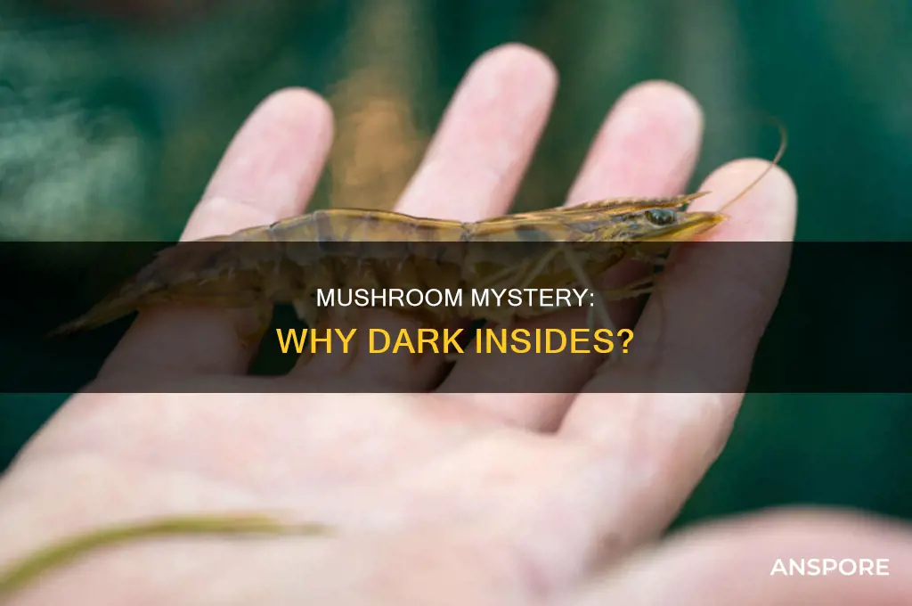 does mushroom have dark color inside
