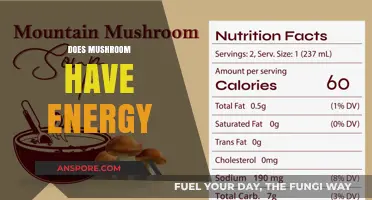 Mushroom Superpowers: Energy and Nutrition