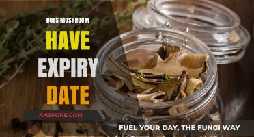 Mushrooms: Do They Ever Expire?