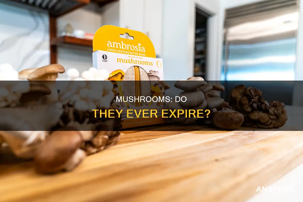 does mushroom have expiry date
