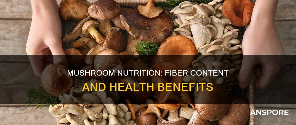 does mushroom have fiber