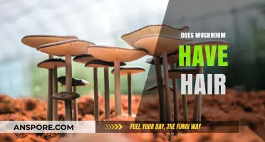 Mushroom Mysteries: Do They Have Hair?