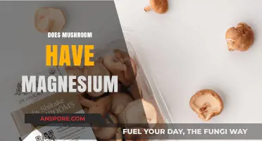 Mushroom Nutrition: Magnesium Content Explored