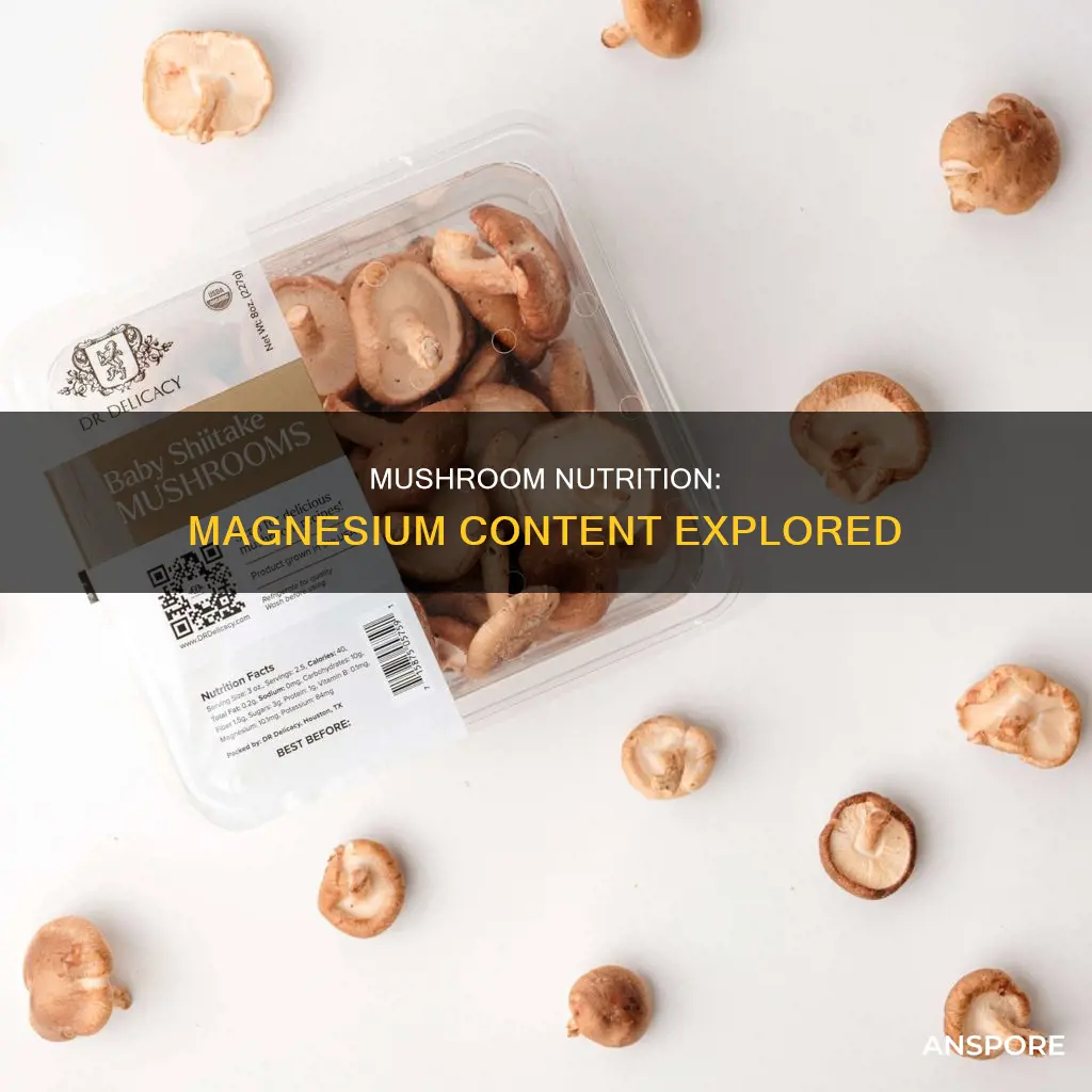 does mushroom have magnesium