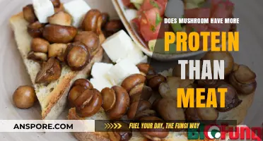 Mushroom vs Meat: A Protein-Rich Alternative?